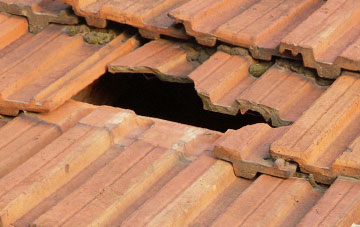 roof repair Burnhouse Mains, Scottish Borders